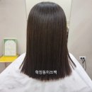 미쓰 백 헤어 이미지