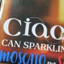 챠오(Ciao) | 홈파티스파클링와인추천 Ciao 챠오캔와인 레몬피치맛 후기입니다