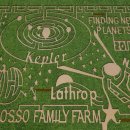 미로농장 이미지