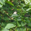 아도농장 이미지