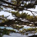 드림몽돌하우스 이미지