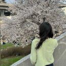 뚝섬한강공원-34 | 뚝섬 한강공원 다녀온 후기 (한강라면 편의점 위치/벚꽃 개화 정도/더텐트 돗자리 대여)