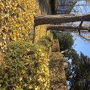 오늘도 무사히~ 이미지