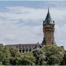 느린하루 이미지