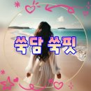 (주)의담환경 | 쑥담 쑥핏 고체쑥즙으로 가벼워지는 아침 쑥디톡스 루틴 2주 섭취 솔직 후기