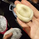 PARK AVENUE | 싱가포르) 파크 애비뉴 창이 호텔(park avenue changi hotel) 숙박 후기