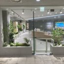 옥수수 동물병원 이미지