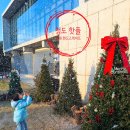 눈카페 | 경북 청도 핫플 카페랜드스케이프 눈내리는 카페 내돈내산 후기