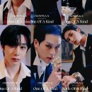 브레드홍 이미지