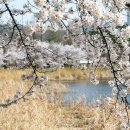 장안3교 이미지