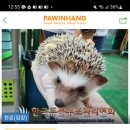 데려오개 이미지