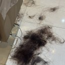 하월헤어두정역점 | 천안 두정동 미용실 여자 물결펌 하월헤어두정역점