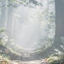 신기마을(연꽃세상) | 전주 근교 산책·달리기·트레킹 명소 7곳 | 주말 액티비티 완벽 가이드