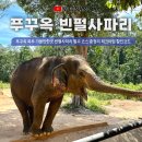 북부카랜드 | 푸꾸옥 북부 가볼만한곳 빈펄사파리 필수코스 입장권 총정리 피크타임 할인코드