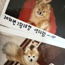 소락하개 네이버블로그