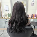 코메타헤어 네이버블로그