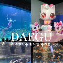 신나는 어린이 중국어(초1~6) | 대구 가볼만한곳 대구아쿠아리움 위시캣 콜라보(feat.포토존, 할인)