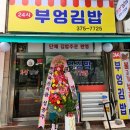 부엉김밥