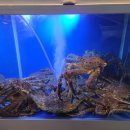 하대동243 이미지