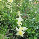 에바다농장 이미지