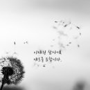 고려강호 태권도 이미지