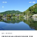 버스투어여행사 이미지