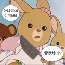 유한회사 오름 | 허그청년버팀목 전세자금대출 후기 부터 이사날까지 그냥 여기에 총정리! 이것만 보면 됨 (집알아보기...