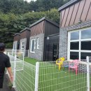 두바이애견풀빌라1 이미지