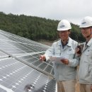 안인 태양광발전소 이미지