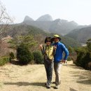 송광사&벚꽃길 이미지