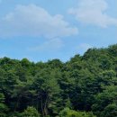 위드제이 이미지