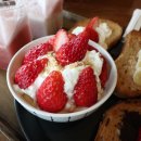 딸기애견 이미지