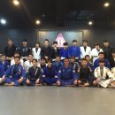 용인대 합기도 주짓수 이미지