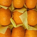 광진농장 이미지