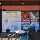 호야애견 이미지