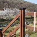 신상동 인공습지 이미지