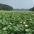 은파호수공원 9-2 이미지