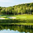 리더골프클럽 이미지