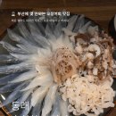 술취한오징어 - 제천시 의림대로2길 17 | 술취한오징어