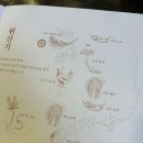 발산삼계탕 이미지