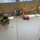 슈슈봉봉 이미지