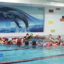 안룡초등학교 이미지