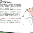 [9강-4 팔과손 그리고 그 근육](43강)뉴만(elbow and forearm)4, 엎침/뒤침운동형상학,관절구조와결합조직, ADL 등 이미지