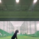 JMS골프클럽 | JMS골프클럽 기흥점, 완벽한 골프 연습 공간!