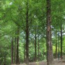 옻골다목적구장 이미지