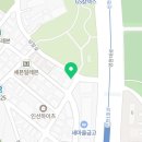 선학모밀 이미지