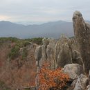 초미사슴 이미지