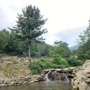 1박2일 | 강원도 계곡 캠핑장 새로 오픈한 명월캠핑장 1박2일 후기