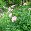 말무리농장 이미지