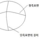 신도메디팜사 이미지